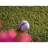 TAYLORMADE  Vente balles de golf modèle TP5 Stripe Season Opener