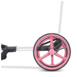 Big Max Chariot manuel  blade trio rose