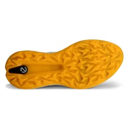 ECCO | vente chaussures de golf Biom H5 Wild Dove