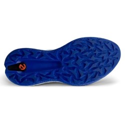 ECCO | vente chaussures de golf Biom H5 White/Virtual