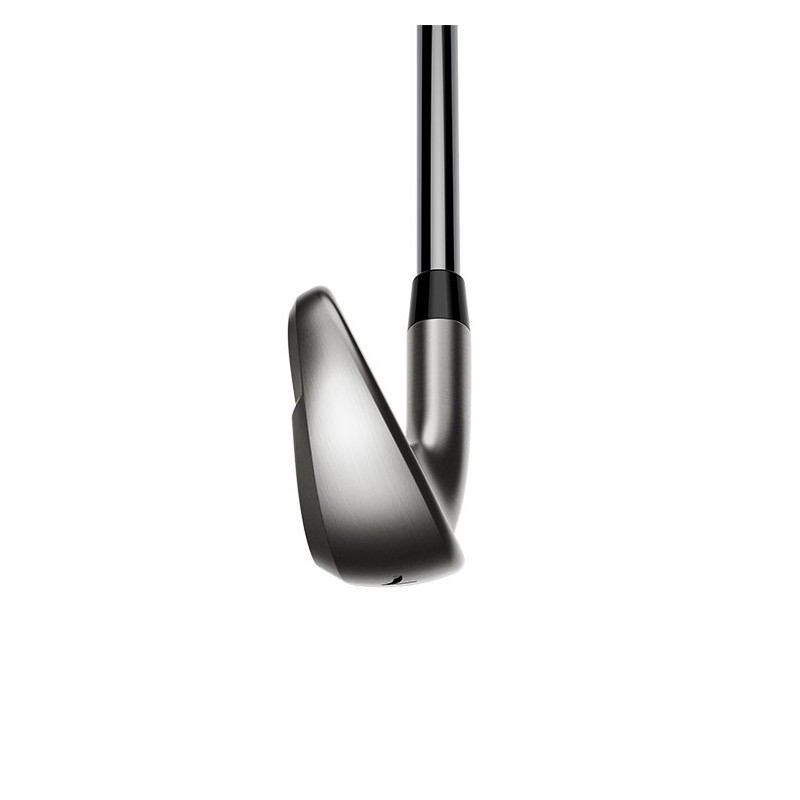 Cobra FP Fers avec shaft Regular Acier NS pro 1030H