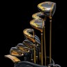 DAIWA - Package complet GIII Signature 5 Stars (édition limitée)